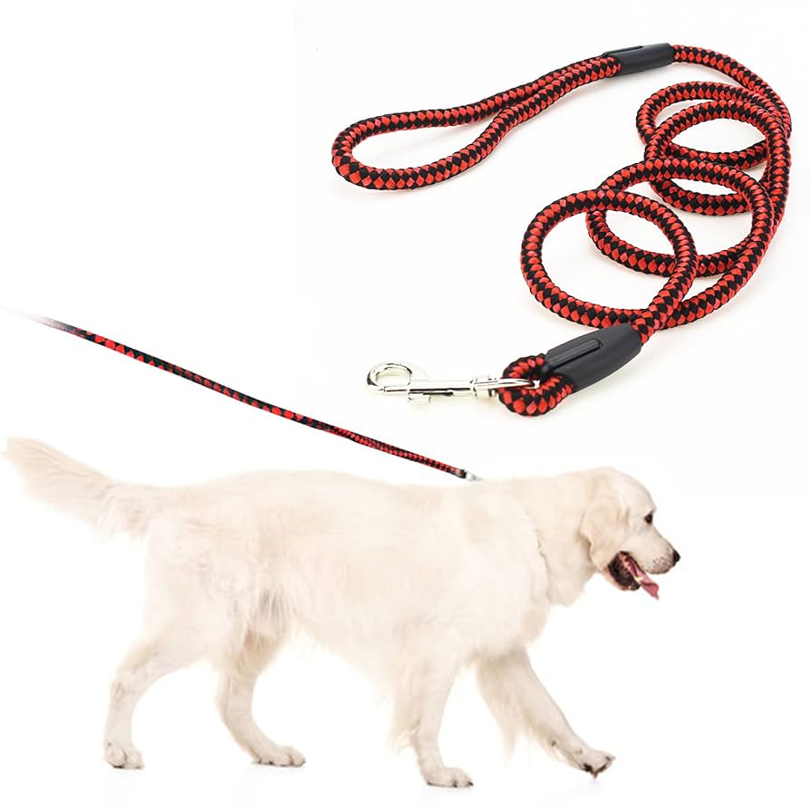どおりいぬ Amazon | RICISUNG 丈夫な 犬用リード ドッグ スリップリード